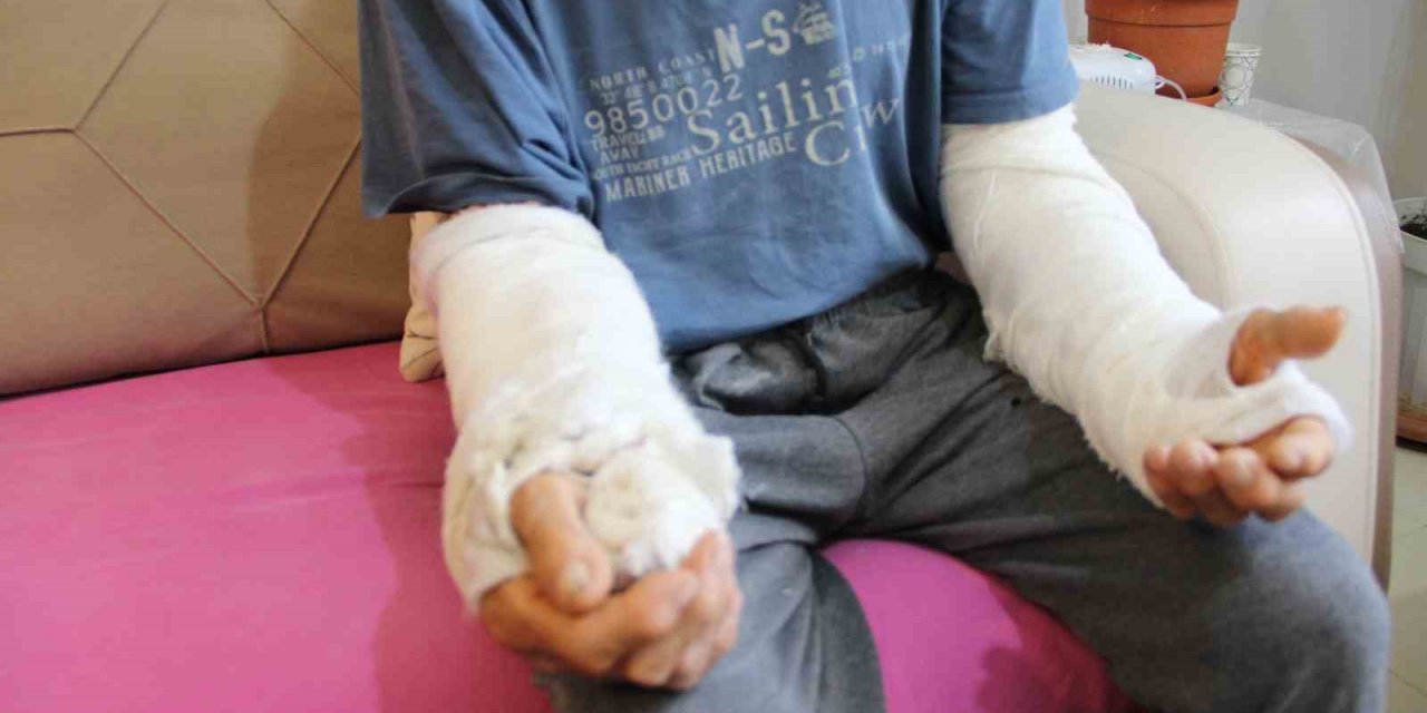 Yaşlı Adam Bahçesine Koyun Sürüsü Sokan Çoban Tarafından Dövüldü