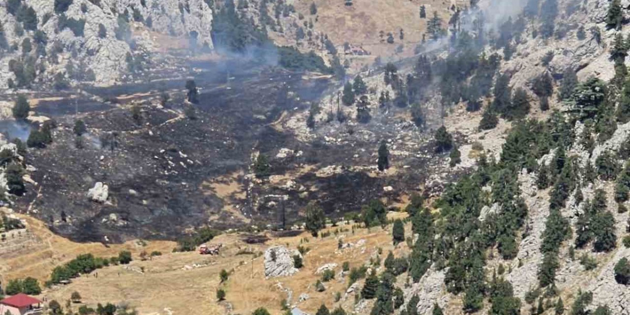 Kırsal Alan Yangınında 1 Hektar Zarar Gördü