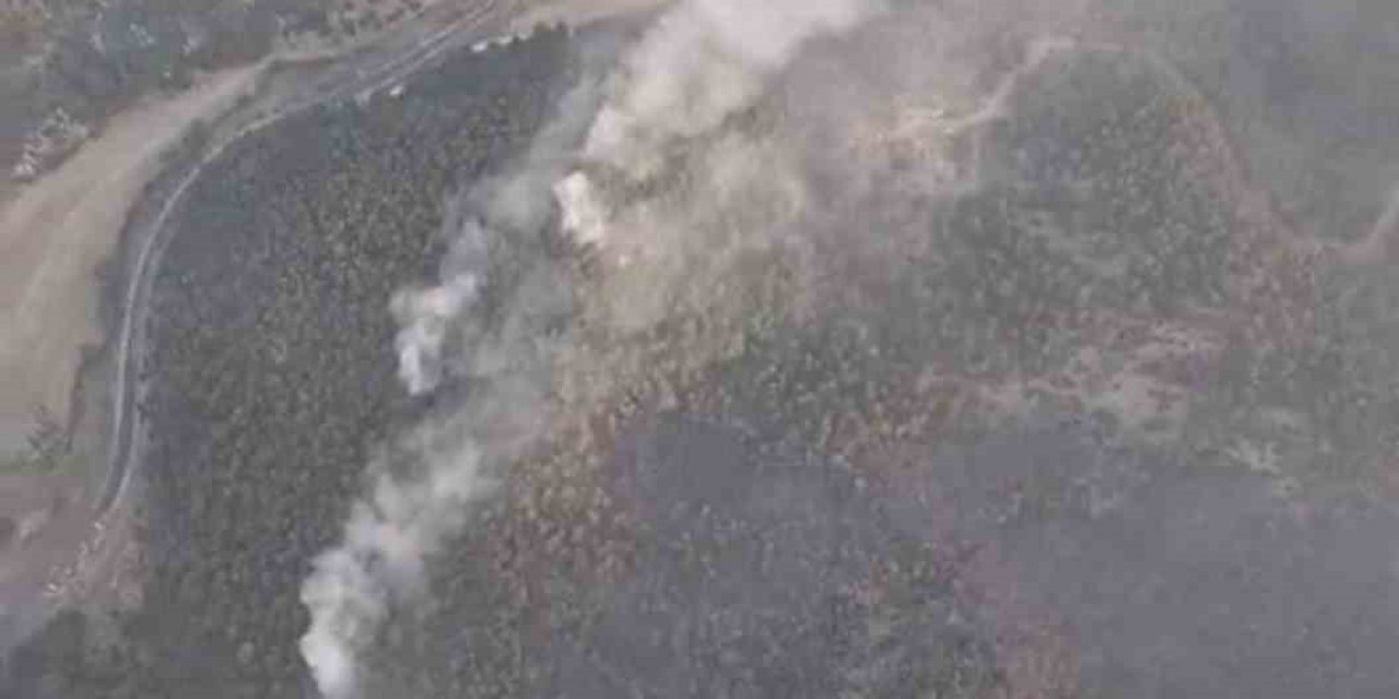 Eskişehir’de Orman Yangınına Sabah Saatlerinde Yeniden Havadan Müdahale Başladı