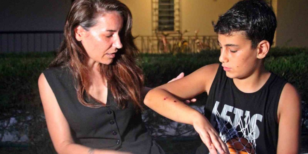 Dershaneye Giderken Köpeklerin Saldırdığı 12 Yaşındaki Çocuğu Esnaflar Kurtardı