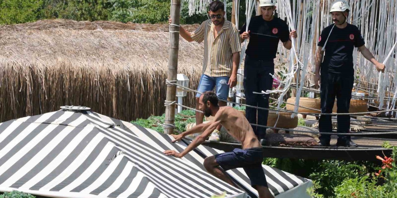 Antalya’da ‘tarzan’ Adam Alarmı: Demirlere Tırmandı, Polislerden Kaçıp Şemsiyenin Üzerine Çıktı