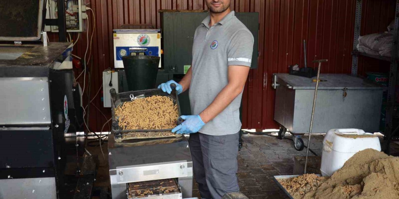 Sokak Hayvanlarının Mamalarını Kepez Belediyesi Üretiyor