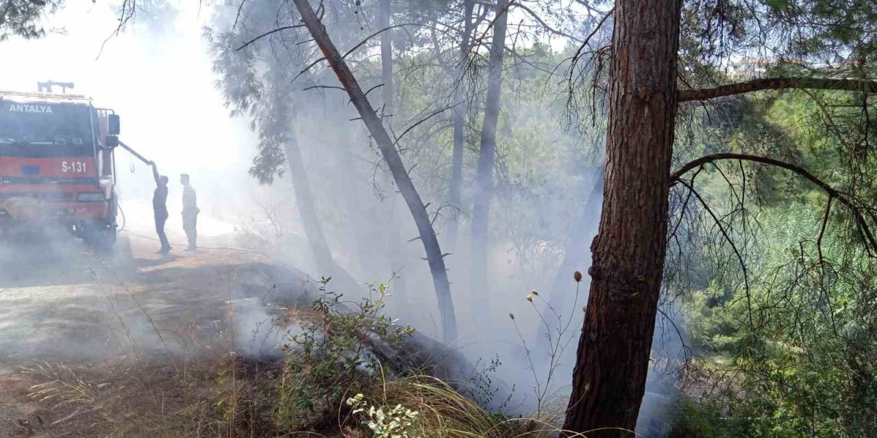 Manavgat’ta 30 Dakika Arayla İki Ayrı Noktada Çıkan Orman Yangınları Söndürüldü