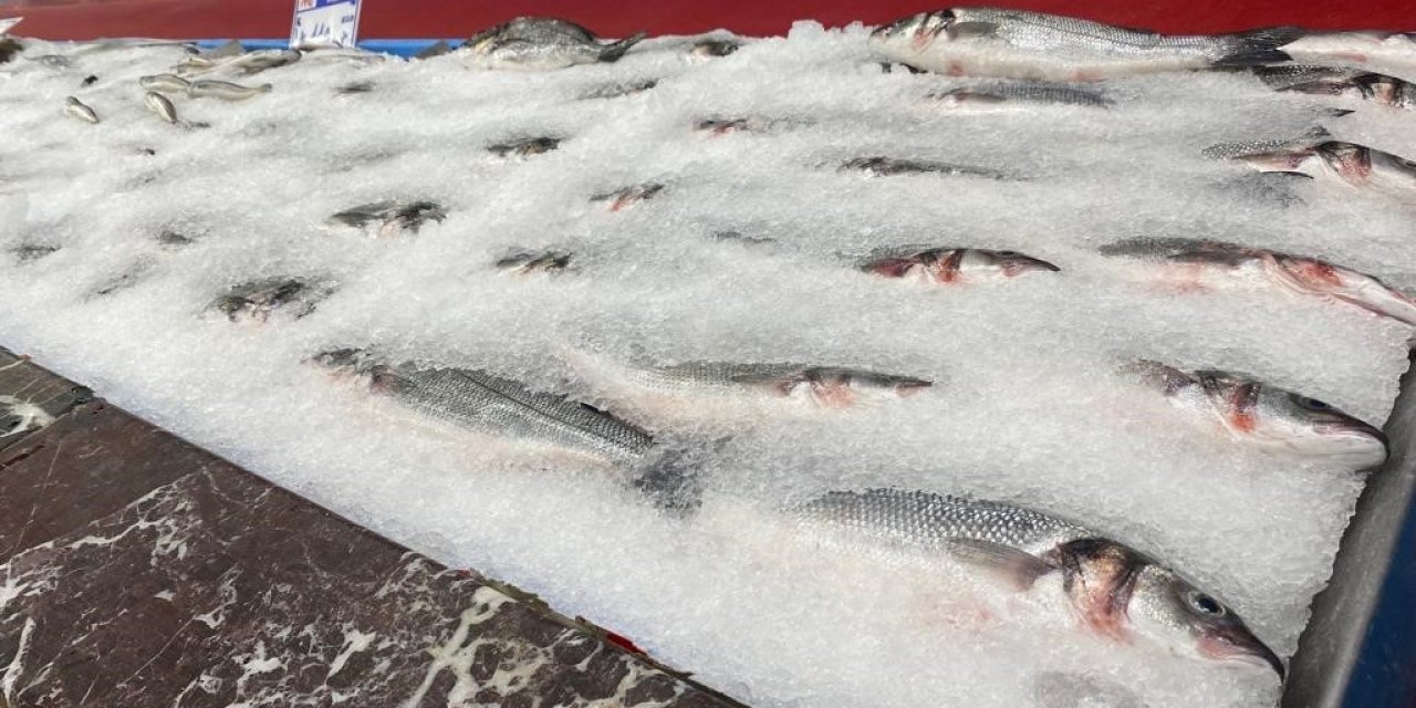 Balıkçılar Yeni Sezondan Umutlu