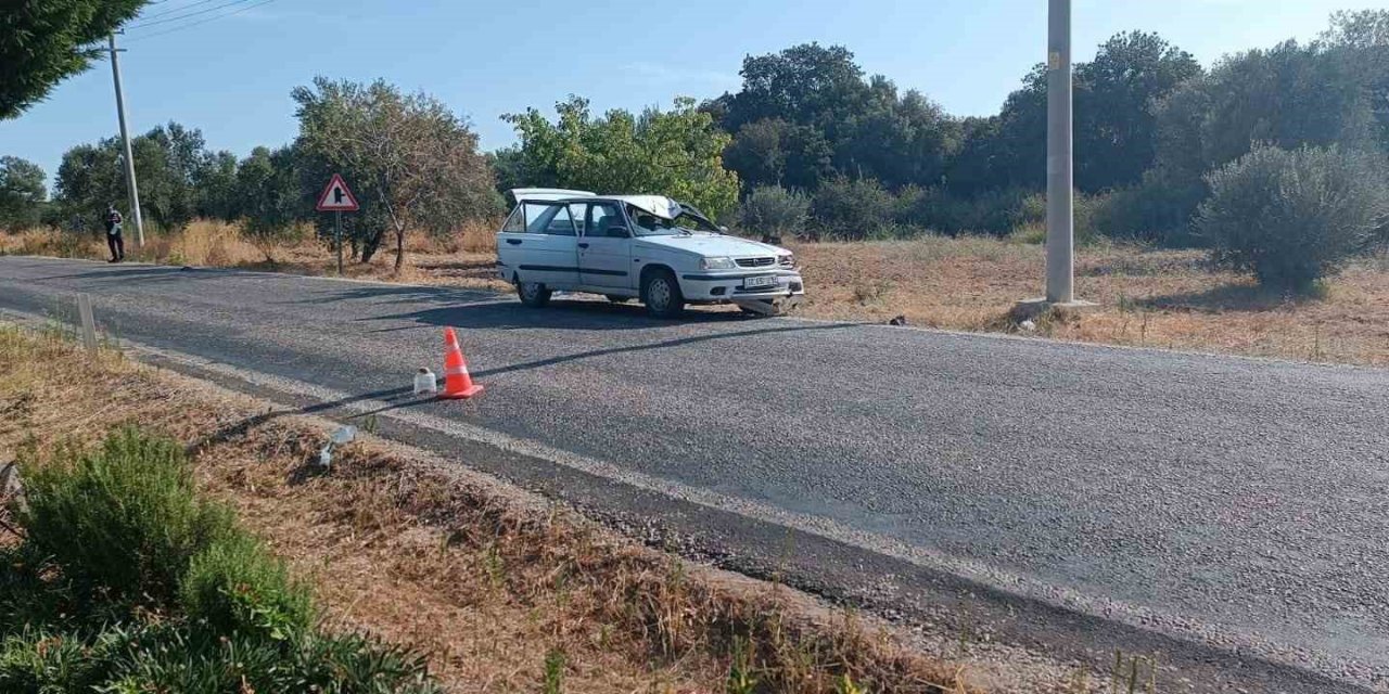 Prof. Dr. Naci Güçhan Trafik Kazasında Hayatını Kaybetti