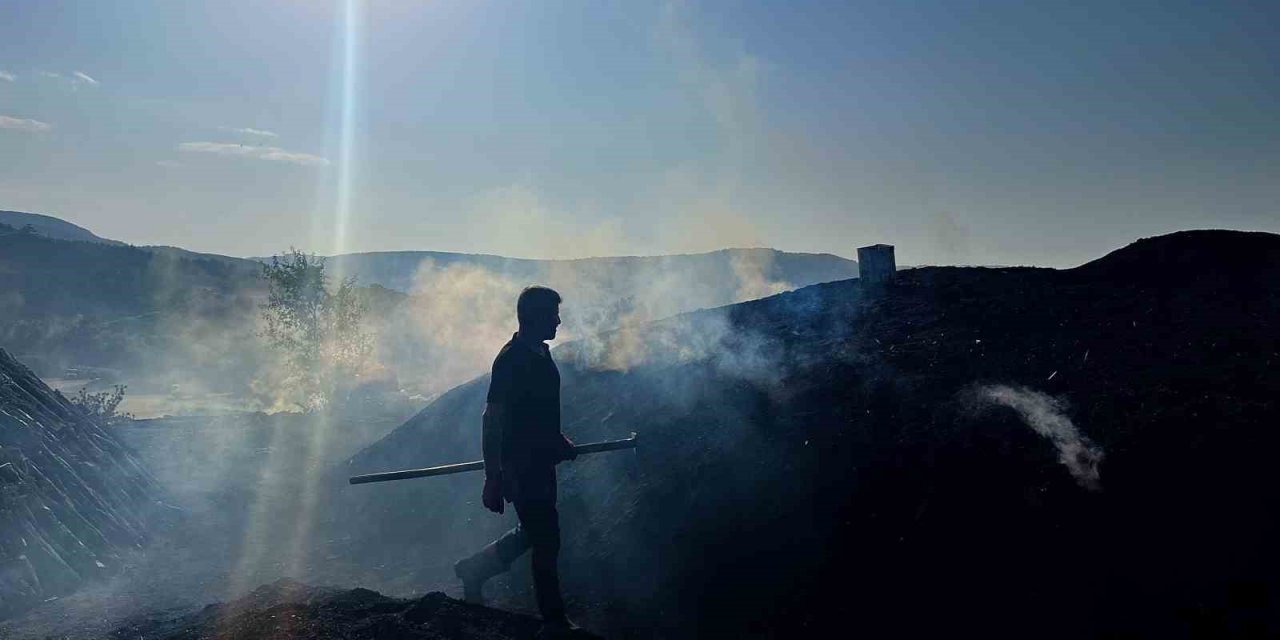 Odun Öbeklerinin Karşısından Günlerce Süren Kömür Nöbeti