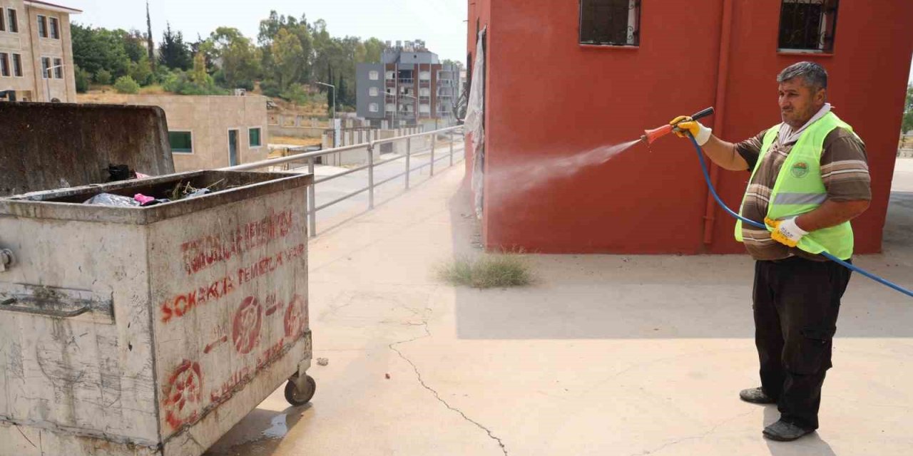 Başkan Yılmaz: "narenciyeye Büyük Zarar Veren Akdeniz Meyve Sineği İle Mücadele Ediyoruz"