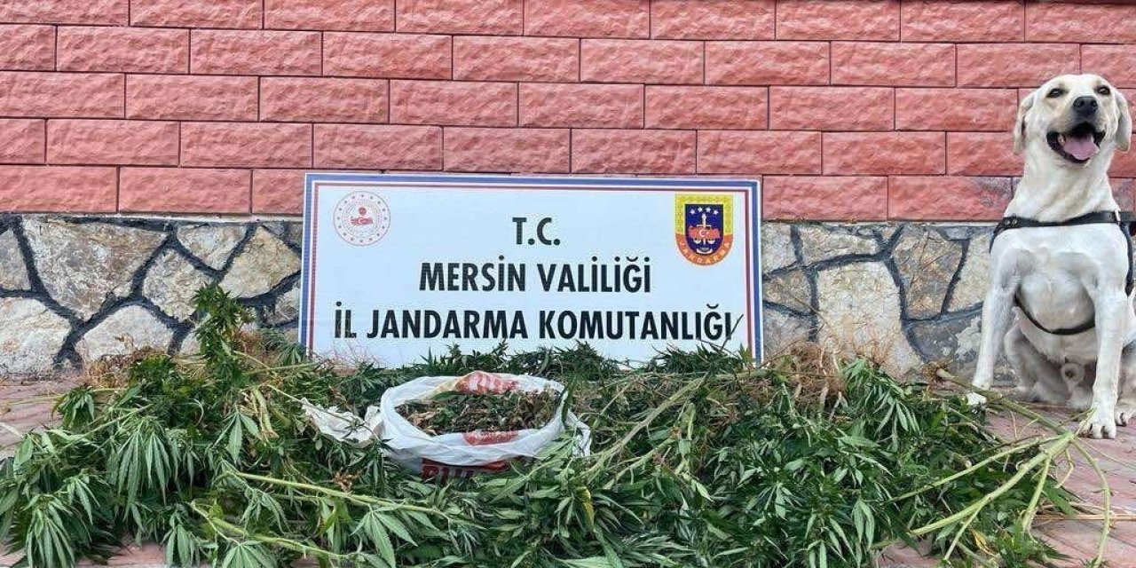 Mersin’de Uyuşturucu Operasyonu: 2 Gözaltı