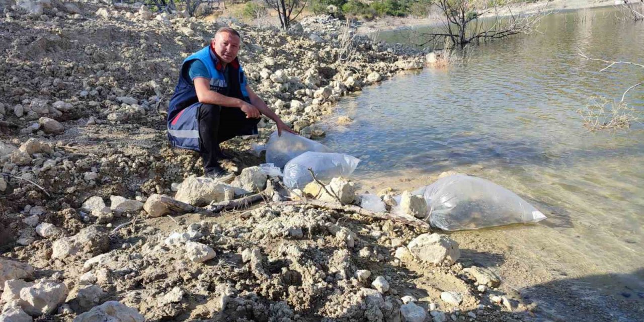 Mersin’de Dereyurt Göletine 15 Bin Sazan Balığı Yavrusu Bırakıldı