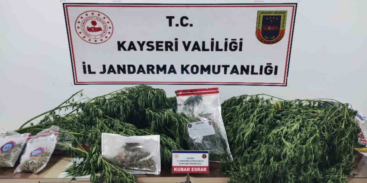 Jandarmadan Bağ Evine Uyuşturucu Operasyonu