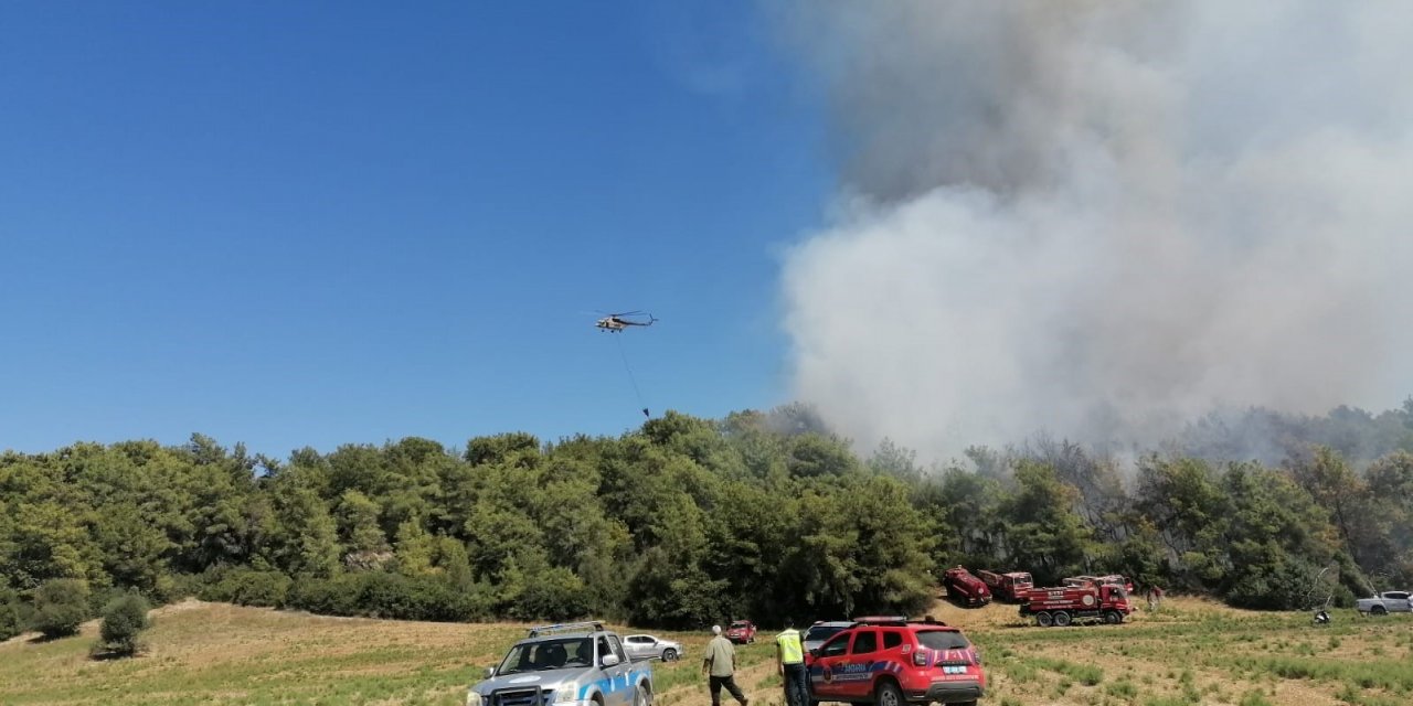 Manavgat’ta Orman Yangınına Havadan Karadan Müdahale
