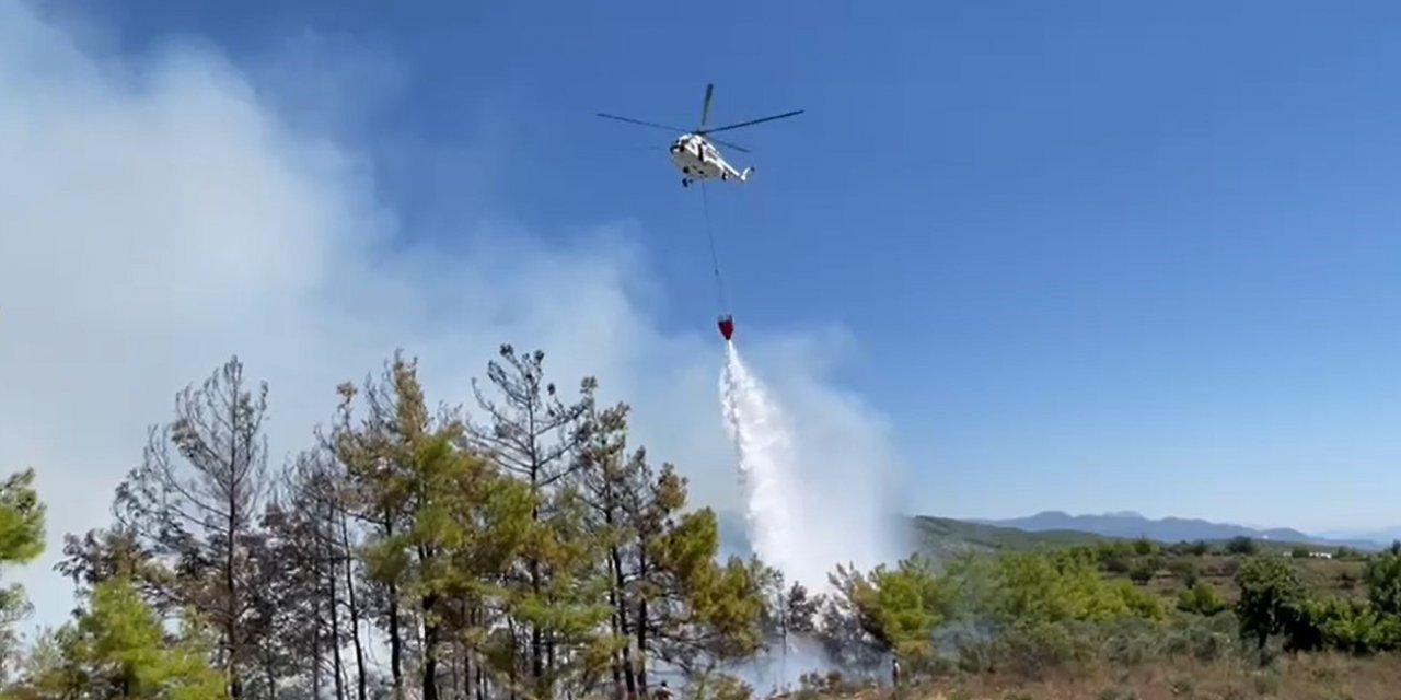 Alanya’daki Orman Yangını Karadan Ve Havadan Müdahaleyle Büyümeden Söndürüldü