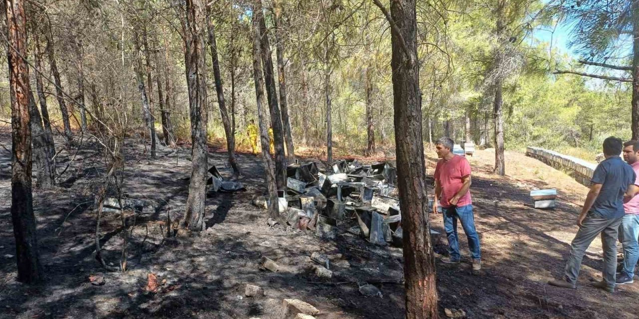 Mersin’deki Orman Yangını Büyümeden Söndürüldü