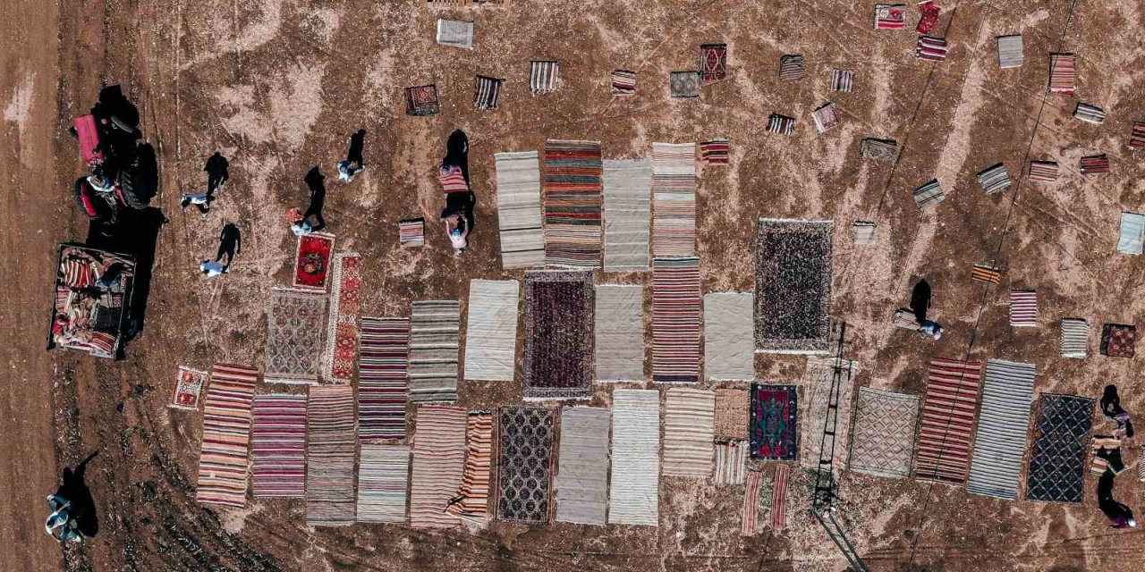 Halı Tarlalarında Güneşin Soldurduğu Milyonluk Halıların Hasatı Başladı