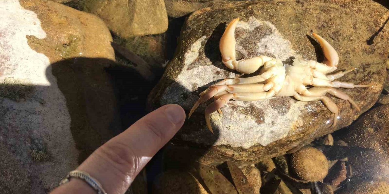 Antalya’da Üzümdere Irmağı Kurudu