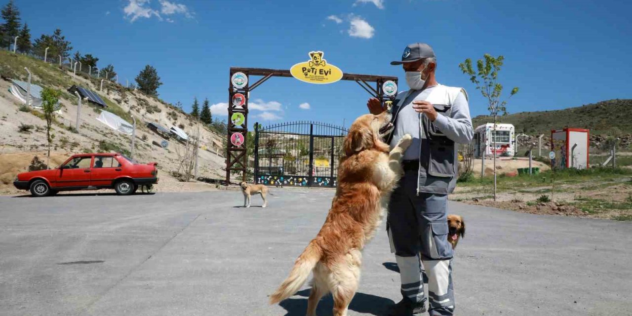 Can Dostların Huzurlu Yuvası: Talas Pati Evi