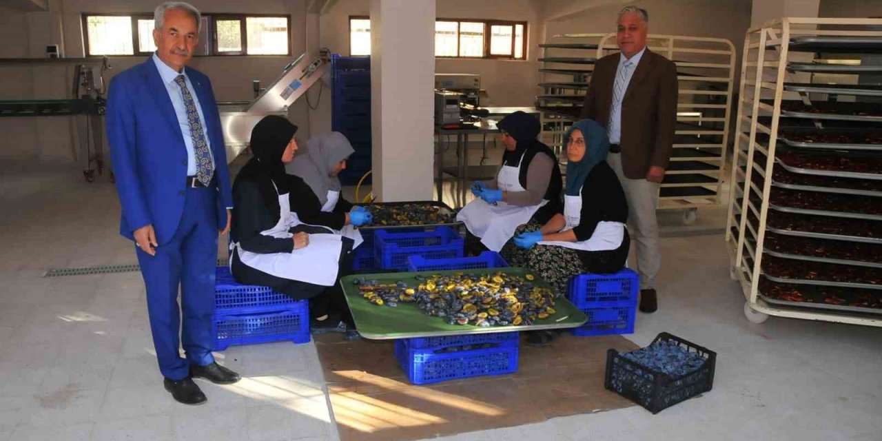Akşehir Belediyesi Meyve Kurutma Tesisinde Ürün Çeşitliliği Artıyor