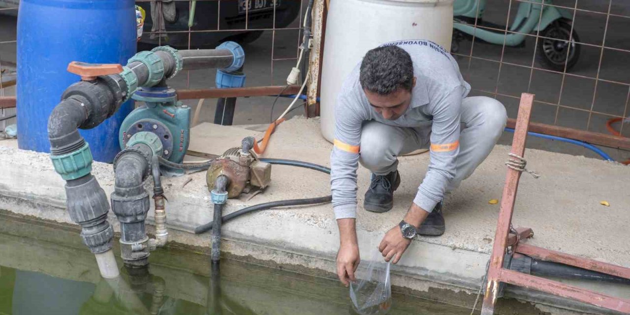 10 Bin Sulama Göletine Binlerce ’lepistes’ Balığı Bırakıldı