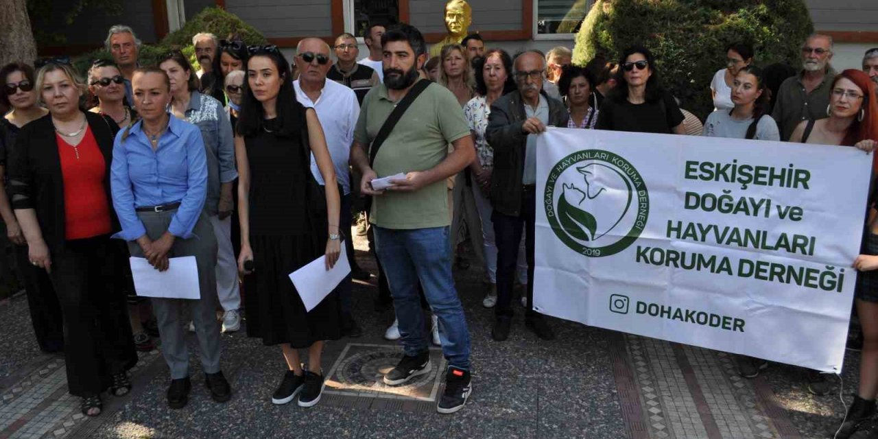 Hayvanseverler Büyükşehir’i Suçladı