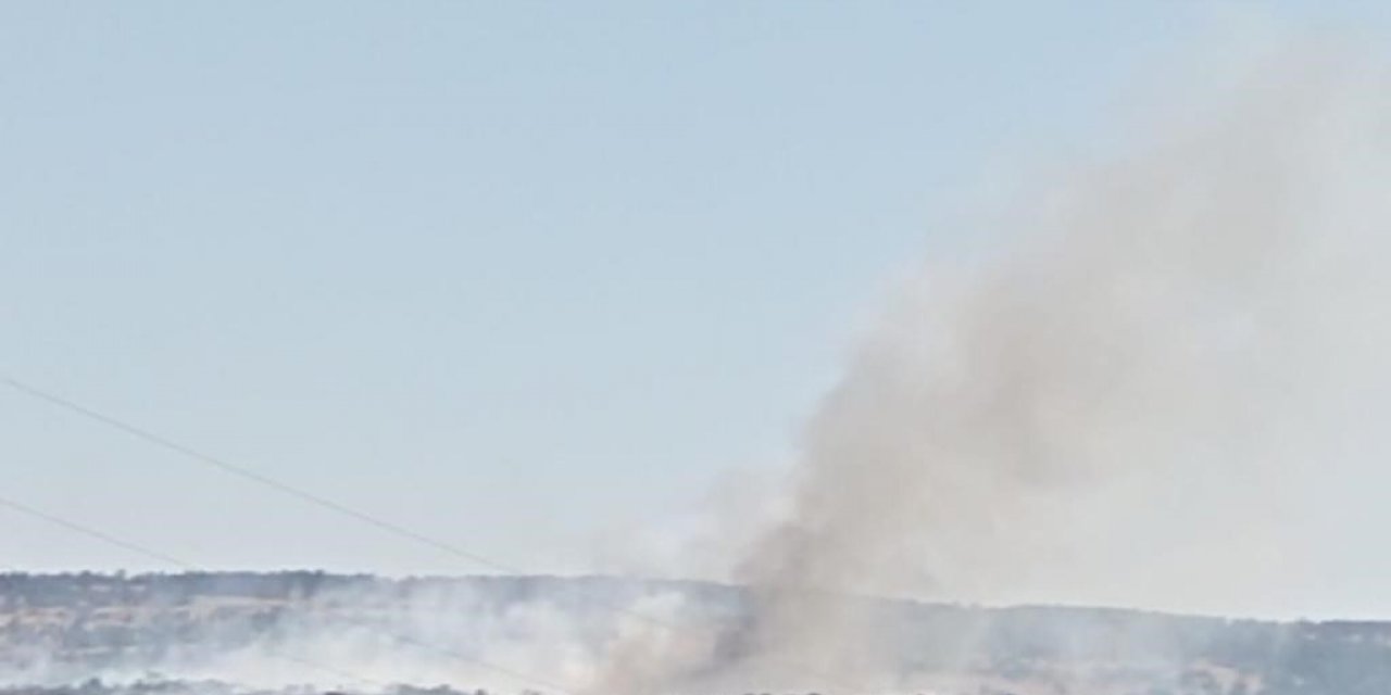 Eskişehir’de Orman Yangını