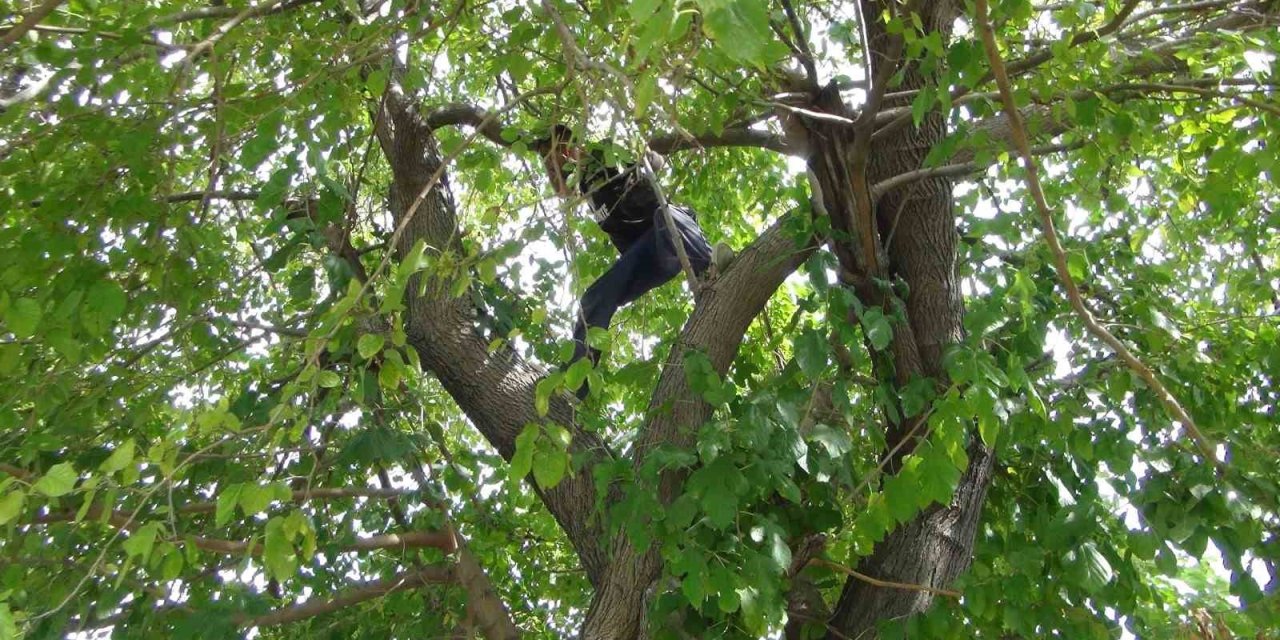 Hava Almak İçin Seçtiği Yer Ekipleri Alarma Geçirdi