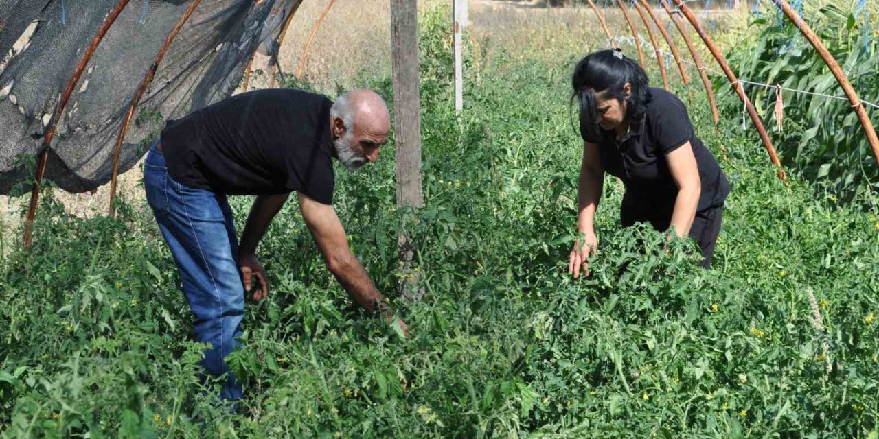 Bahçe İçinde Kurdukları Konteynerde Yaşayıp, Ürettikleri Meyve Ve Sebzeleri Satmak Yerine Takas Yapıyorlar