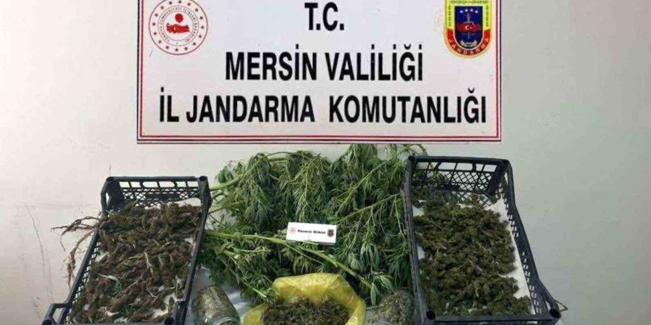 Mersin’de Uyuşturucu Operasyonu: 3 Gözaltı