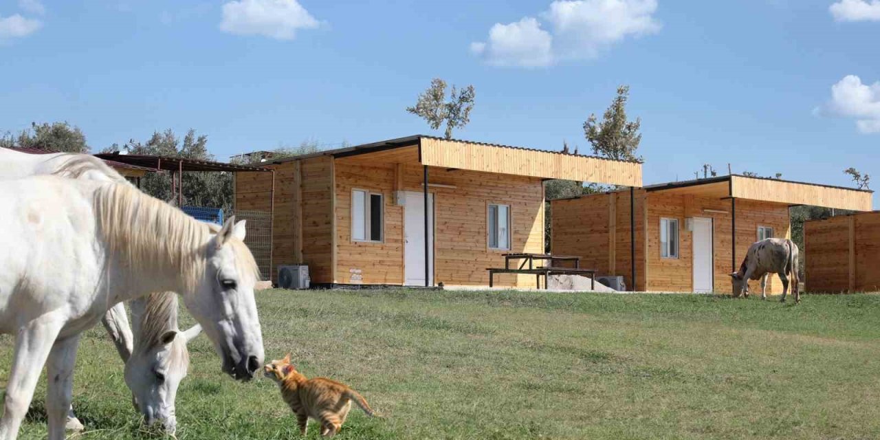 Mutlu Yaşam Köyü Konaklama Kapasitesini Artırdı