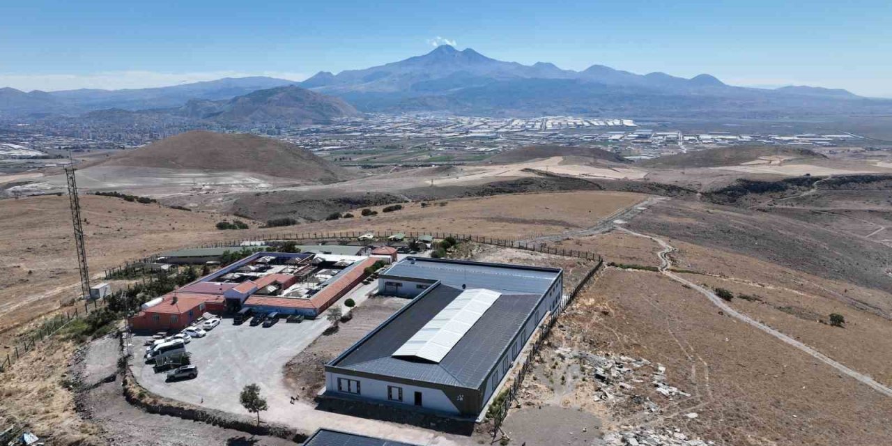 Başkan Büyükkılıç, Yeni Ve Modern Kedi Köpek Evi’nde İncelemelerde Bulundu