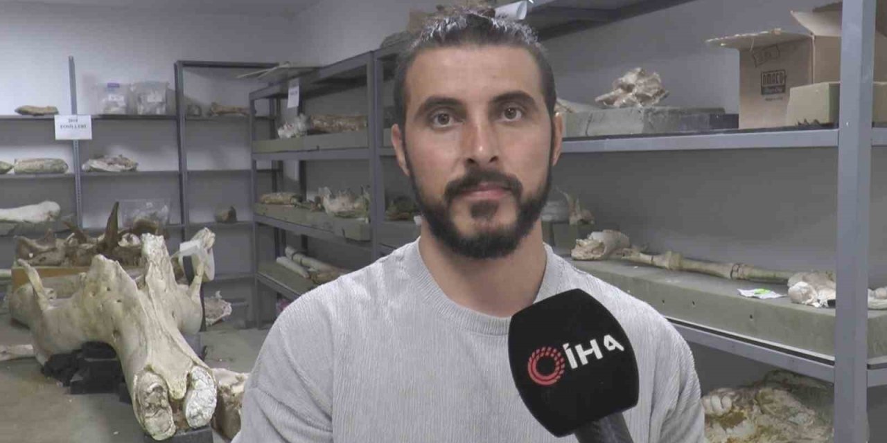 Taşhan Kazılarında ‘zürafa Yılı’