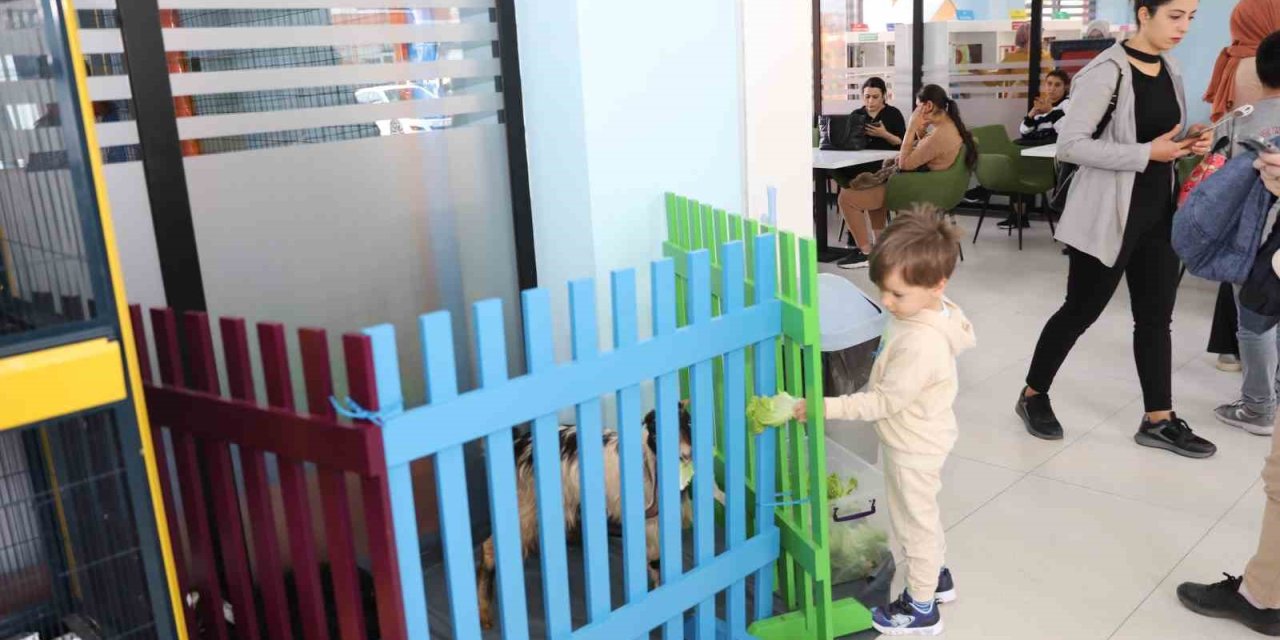Çocuk Kütüphanesinde Hayvanları Koruma Farkındalığı Etkinliği