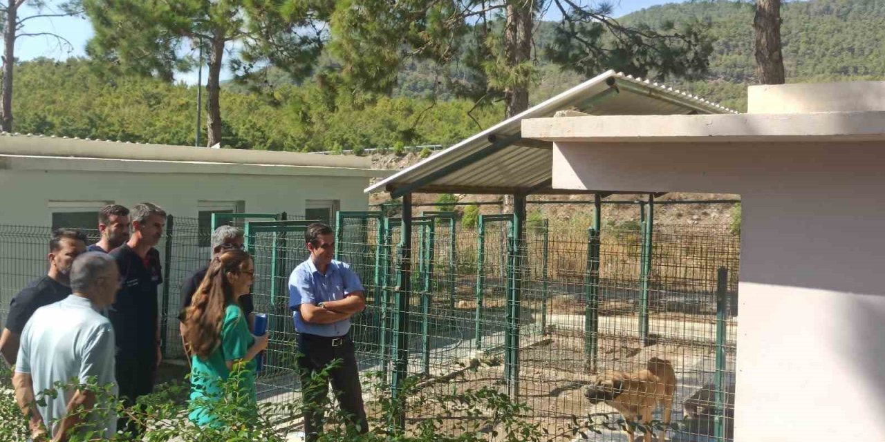 Topsakaloğlu: "hayvanları Koruma Bilinci, Toplumsal Duyarlılık Ve Empati İle Şekillenir"