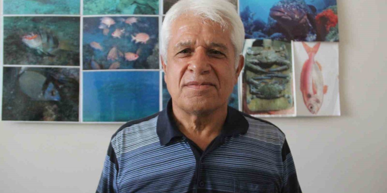 Müren Balığının Yem İçin Balon Balıklarına Saldırdığı Anlar Kameralara Yansıdı