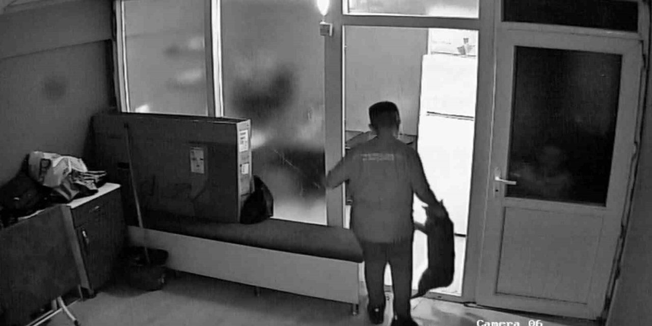 İşe Yeni Başlayan Çırak, Kuaförün Kedisini Dakikalarca Tekme Ve Yumruklarla Darp Etti