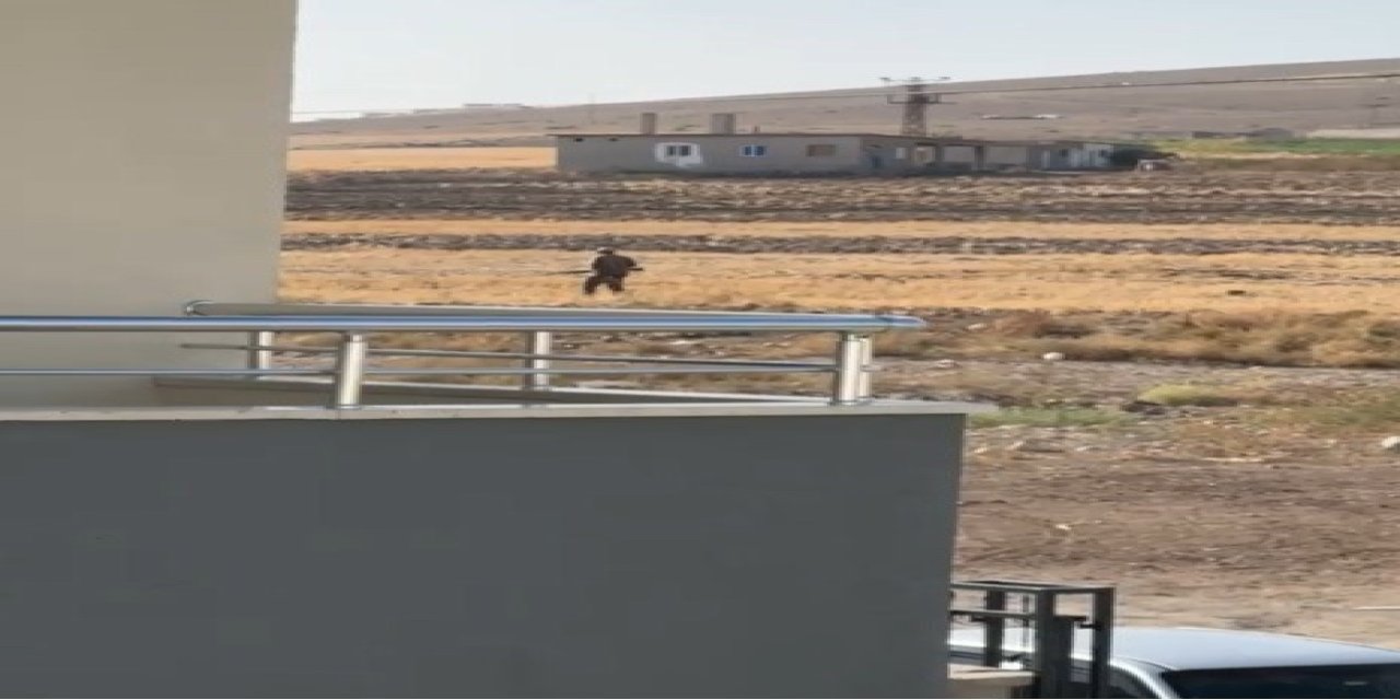 Pompalı Tüfekle Dehşet Saçtı: Tavuklarına Zarar Verdiğini İddia Ettiği Sokak Köpeklerini Vurdu