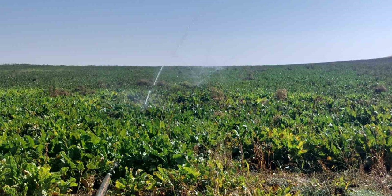 Bireysel Sulama Hibe Desteği Ödemeleri Tamamlandı
