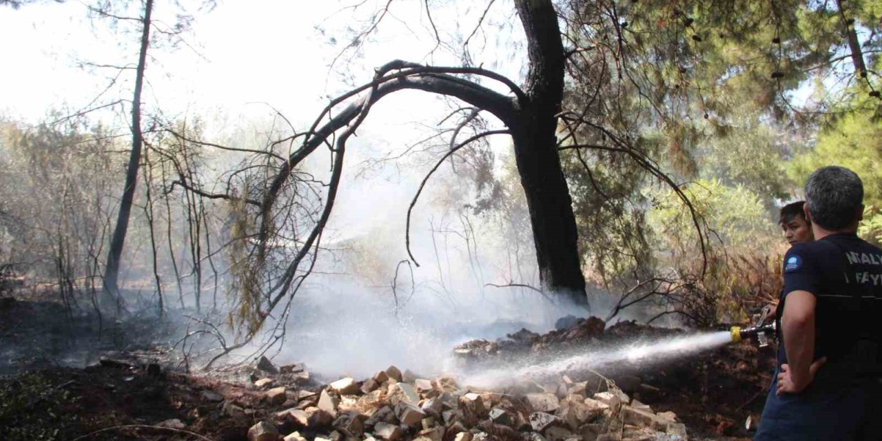Ormanlık Alandaki Yangın Büyümeden Söndürüldü