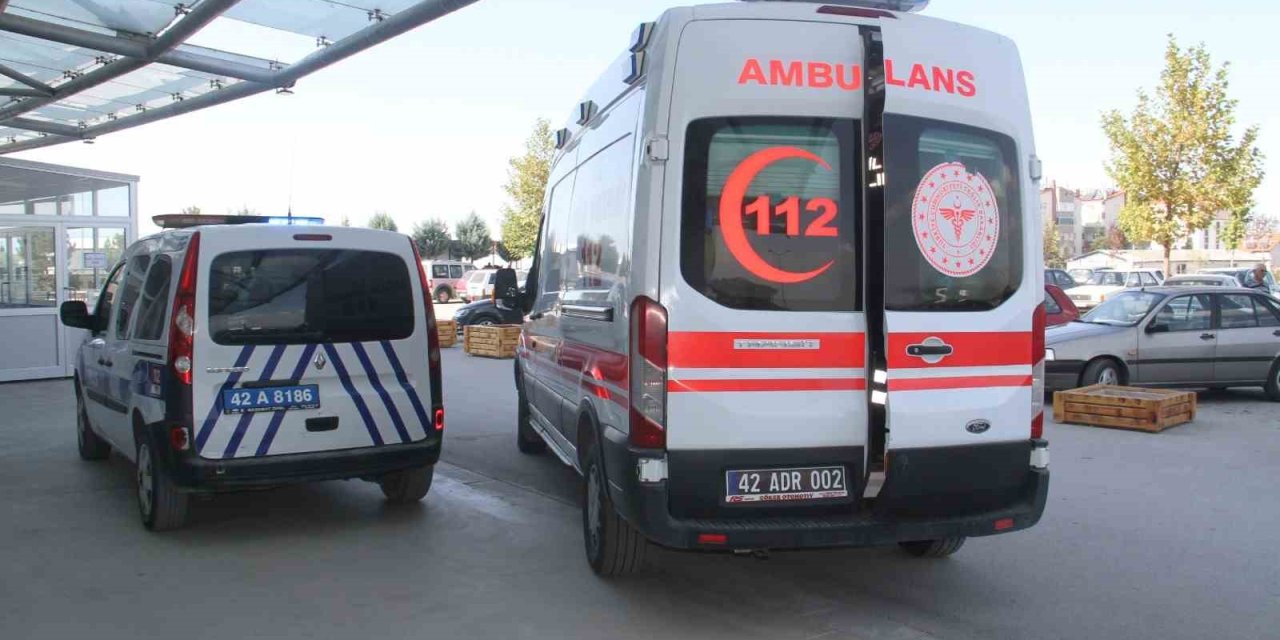 Çıktığı Ceviz Ağacı Hayatına Mal Oldu