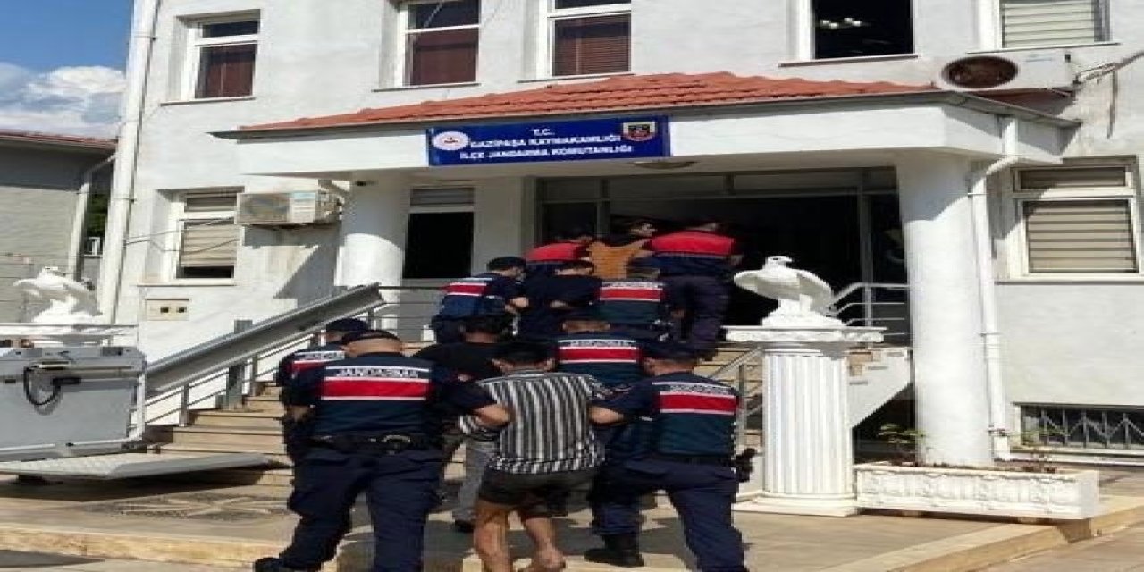 Avokado Hırsızları Yakalandı