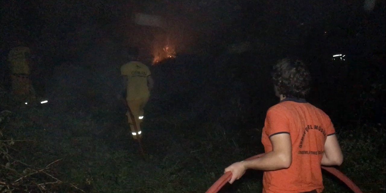 Sazlık Alanda Korkutan Yangın, Ormancılar İle İtfaiye Müdahale Etti