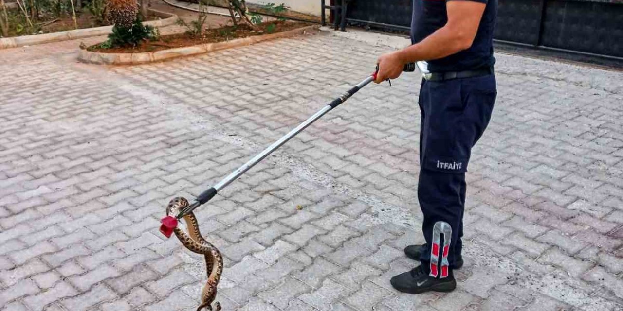 Otomobile Giren 1 Metre Uzunluğundaki Yılanı İtfaiye Çıkardı