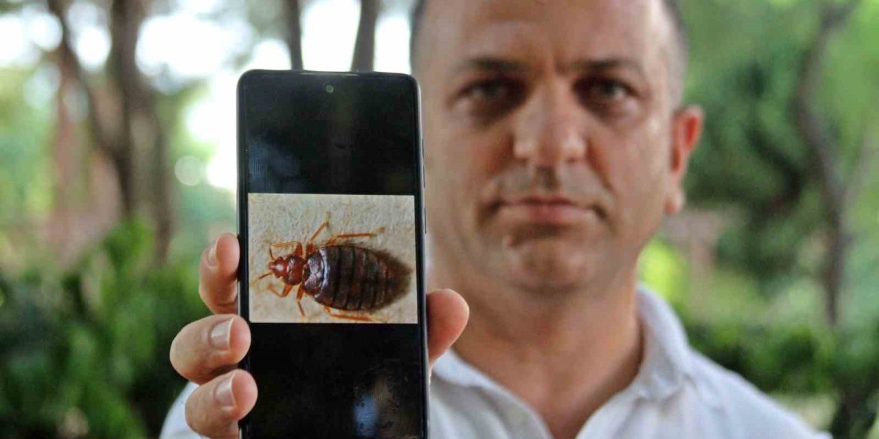 Geceleri Saklanıyorlar, İnsanın Uyumasını Bekleyip Kanını Emiyorlar