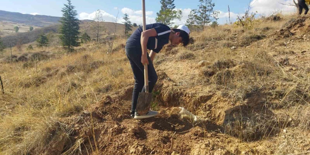 Büyükşehir Belediyesi İlçeleri 22 Bin Fidan İle Buluşturacak