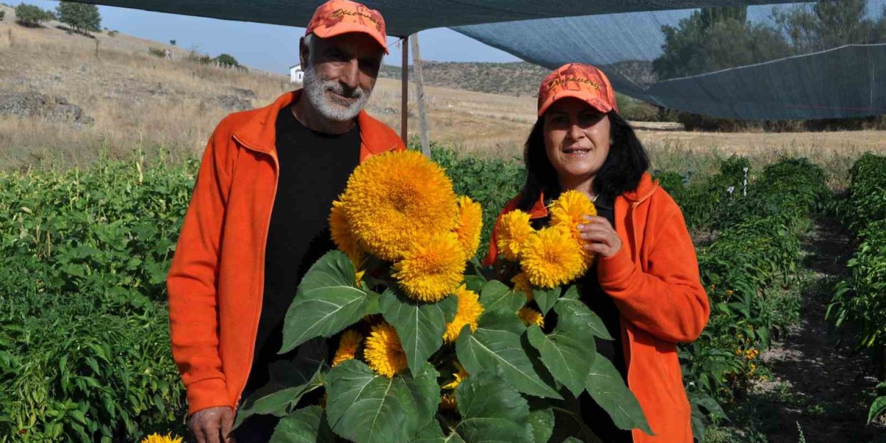 Ata Tohumu İle Sağlıksız Gıda Üretimine Savaş Açtılar