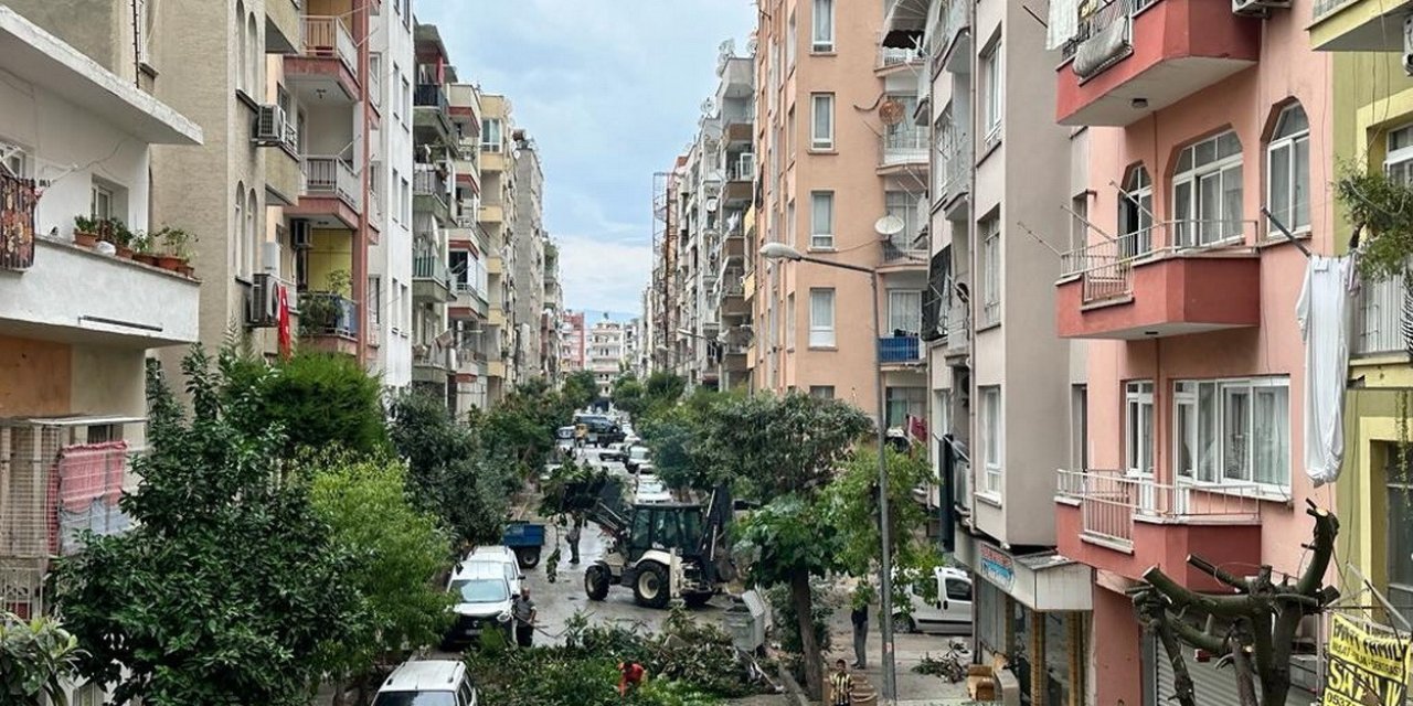 Akdeniz’de Budama Çalışmaları Sürüyor