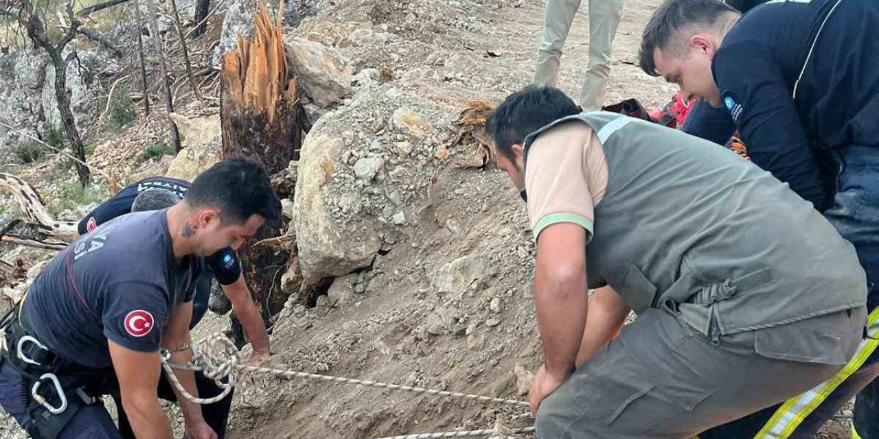 Yaralanan Orman İşçisine İtfaiyeden Nefes Kesen Kurtarma
