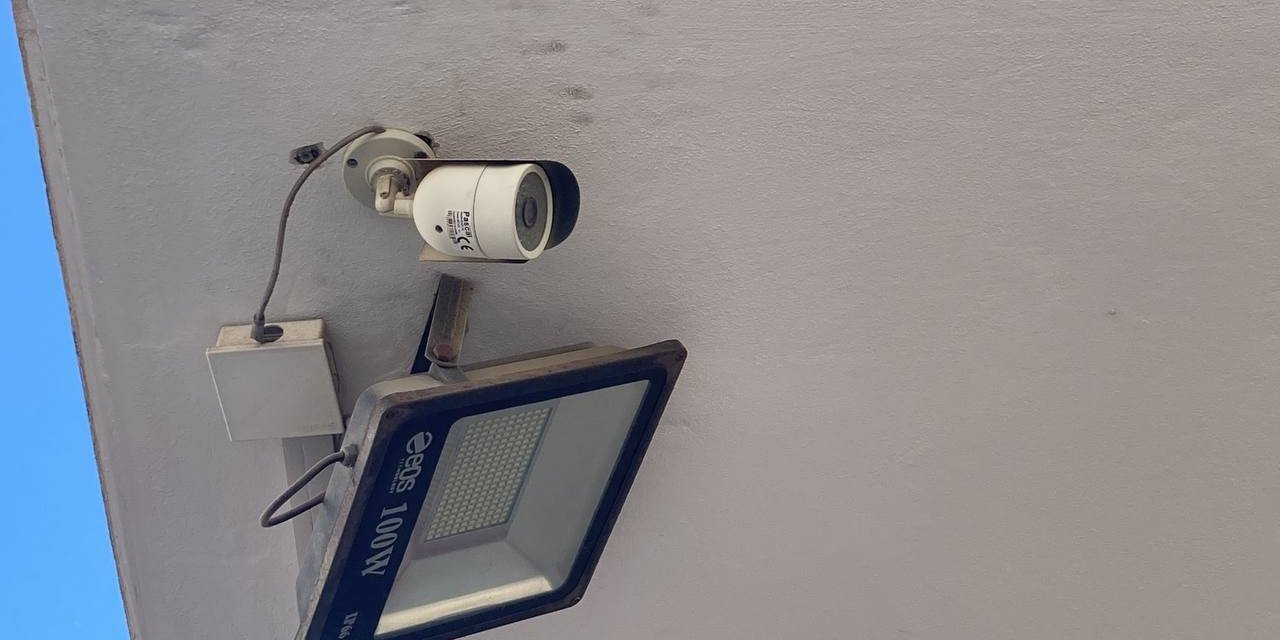 Kazada Ölen Kedi İçin Eczacılara Taşla Bıçakla Saldırdılar