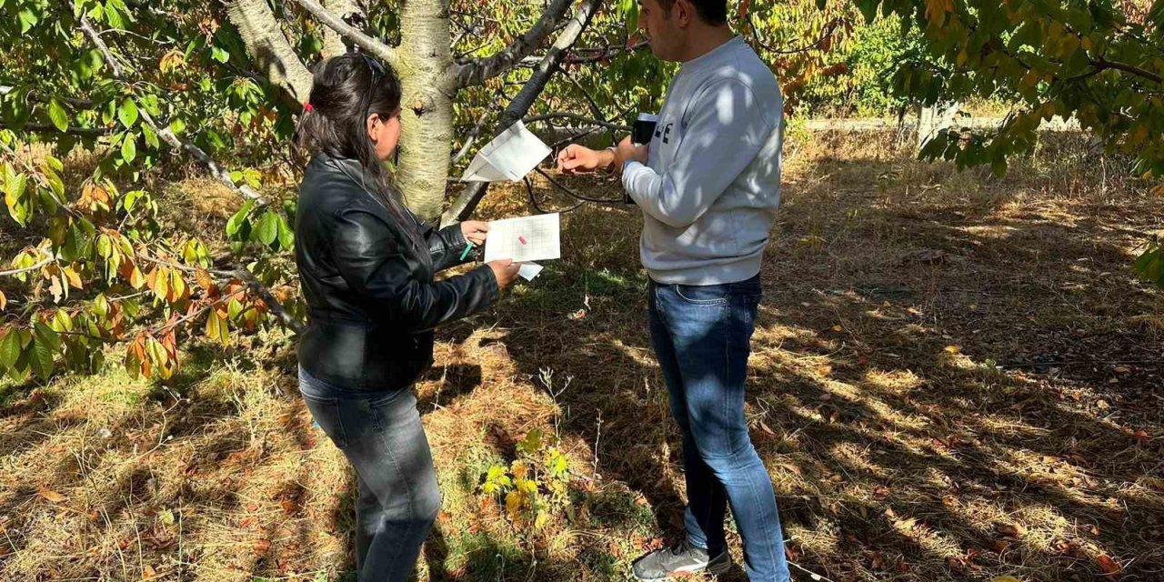 Hüyük’te Zararlı Sinek Tuzakları Kontrol Edildi