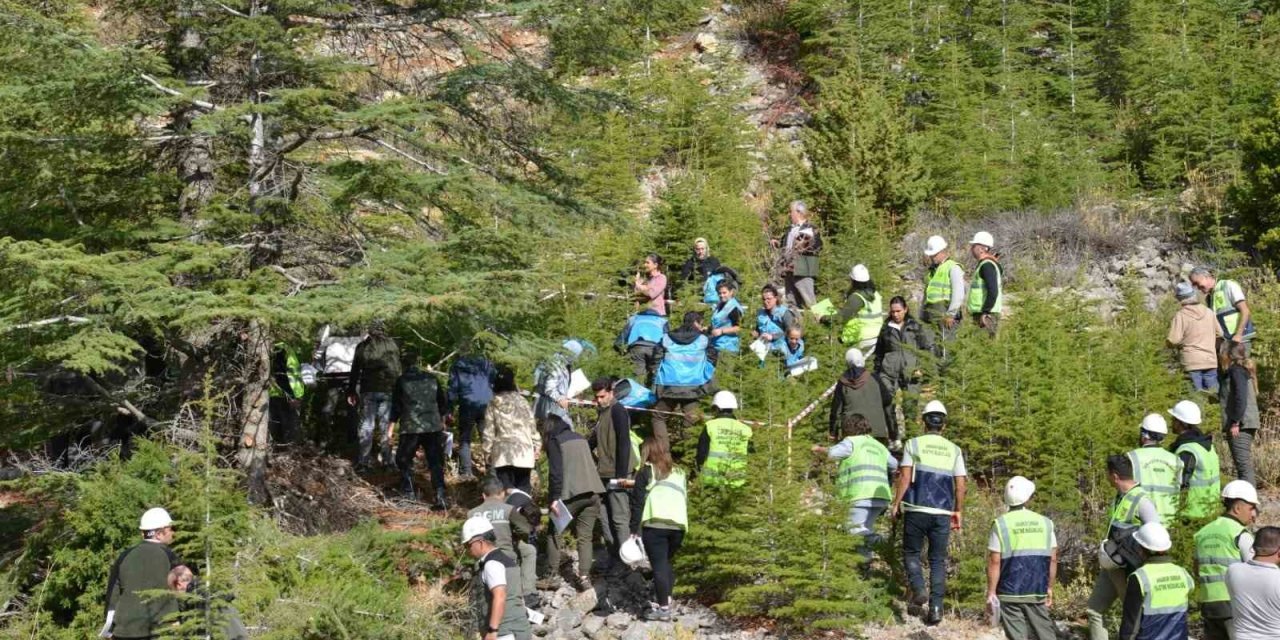 Mersin’de ’silvikültürel Uygulamalar Hizmetiçi Eğitim Semineri’ Tamamlandı