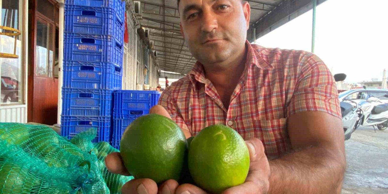 Antalya’da Halde Limon 3 Tl’ye Kadar Düştü